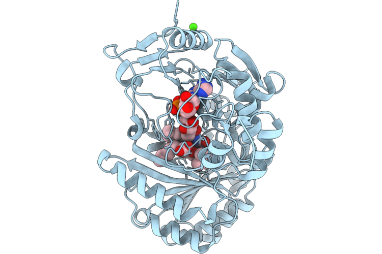 9P1O image