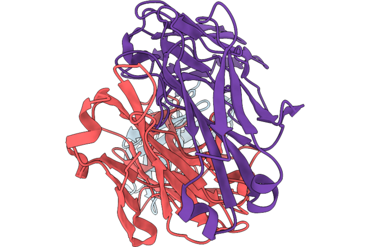 9P1V image
