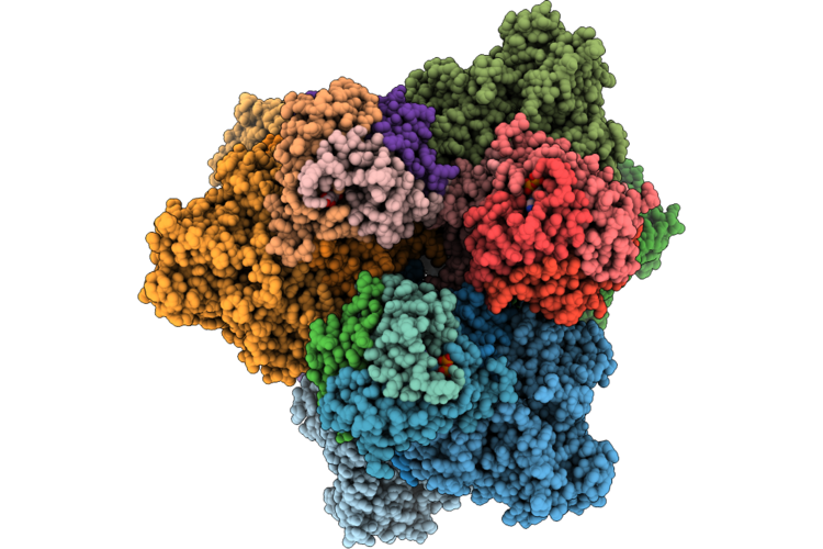 9P1X image