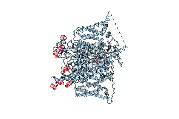 9P24 image