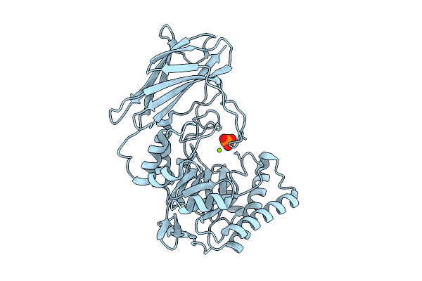 9P26 image