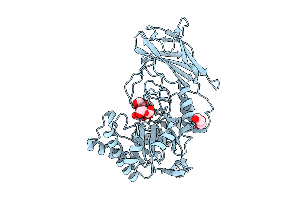 9P29 image