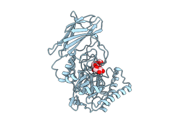 9P2A image
