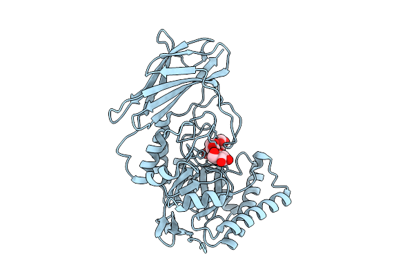 9P2C image