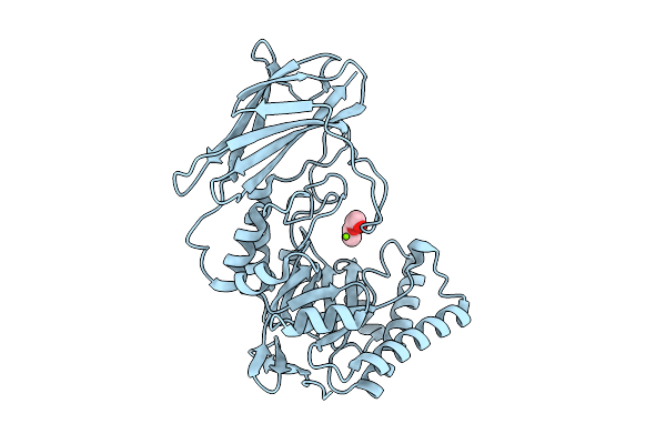 9P2M image