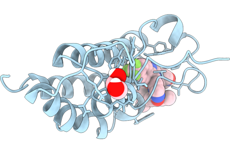 9P33 image