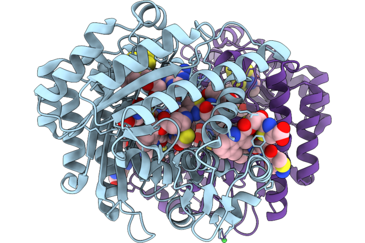 9P3C image
