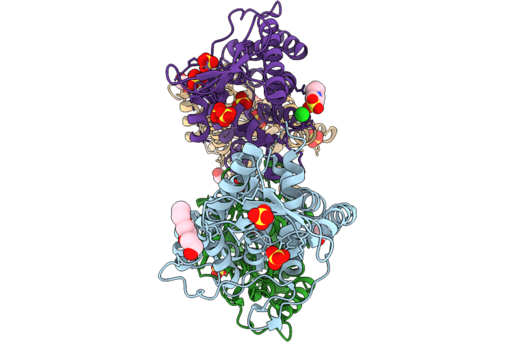 9P3H image