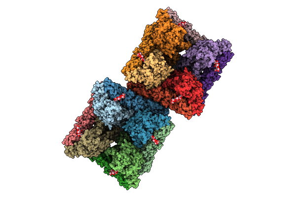 9P3M image