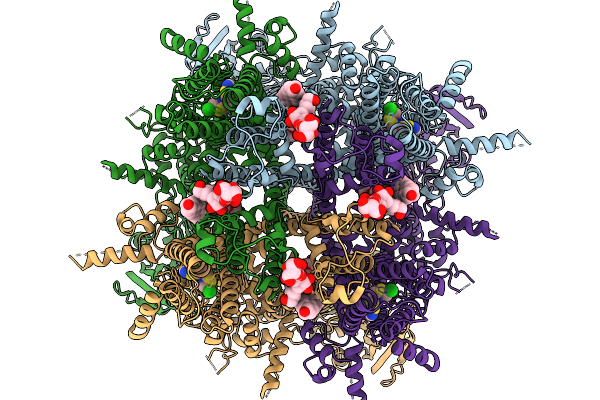9P3N image