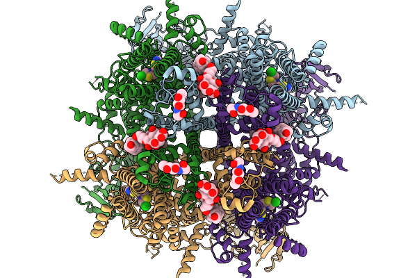 9P3P image