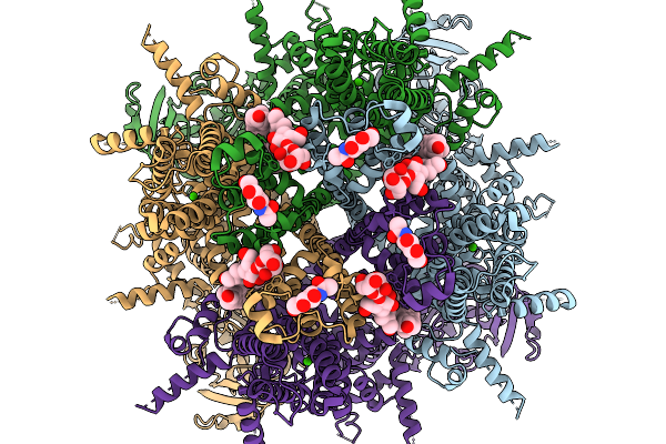 9P3W image