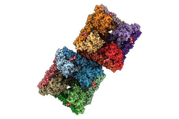 9P3X image