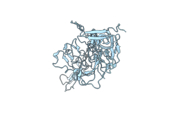 9P4M image