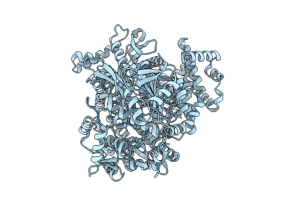 9P4S image