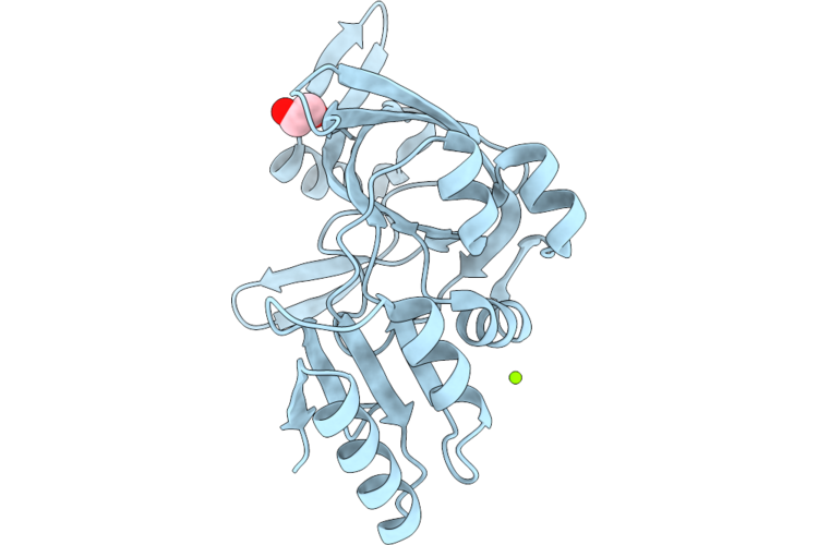 9P4U image
