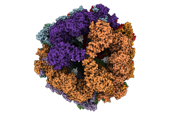 9P4V image