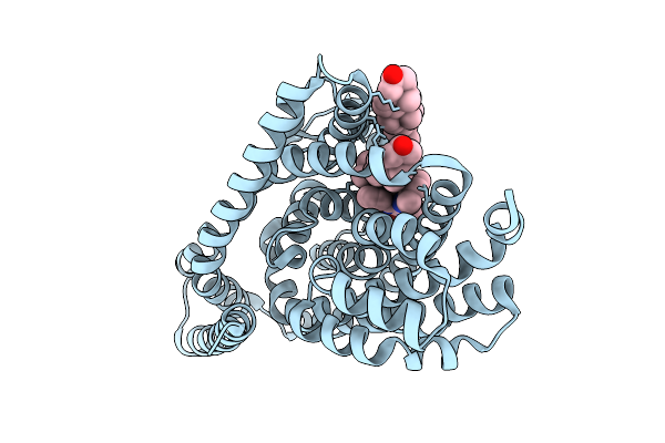9P4X image