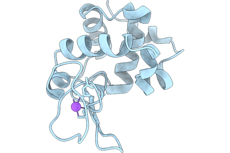 9P56 image