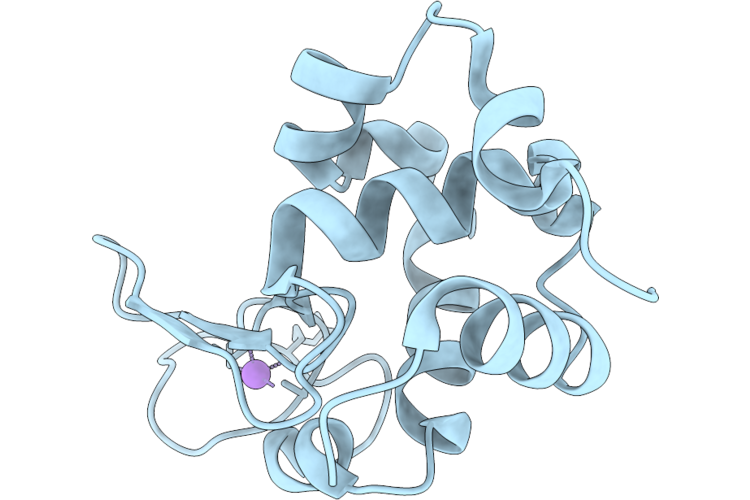 9P58 image