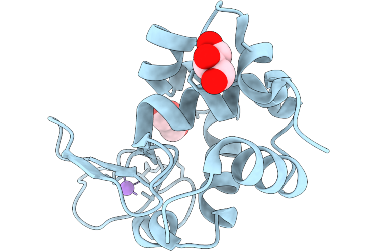 9P59 image