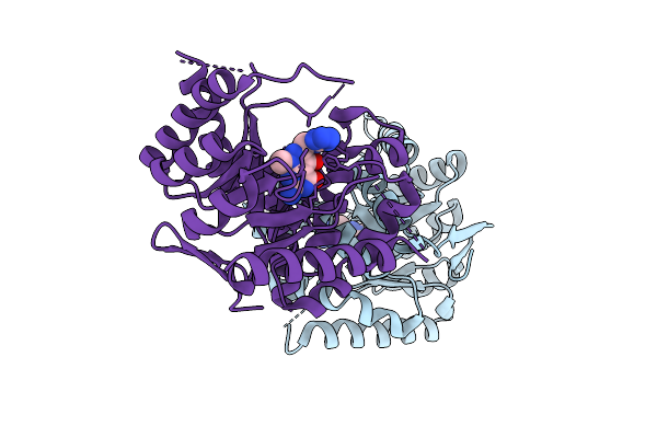 9P5I image