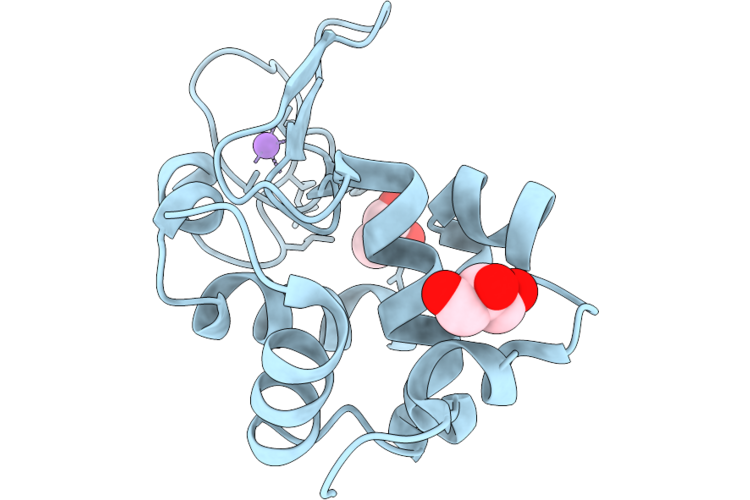 9P62 image