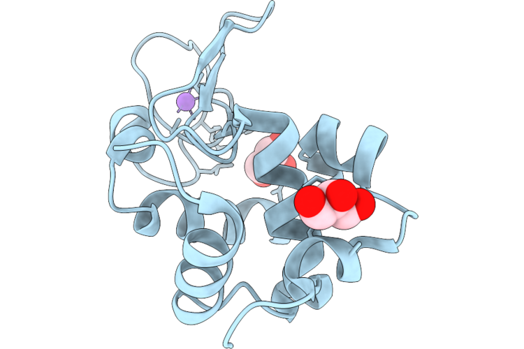 9P67 image