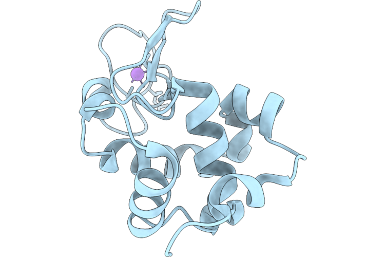 9P69 image