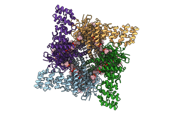 9P6B image