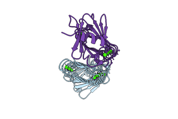 9P6C image