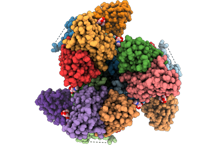 9P6E image