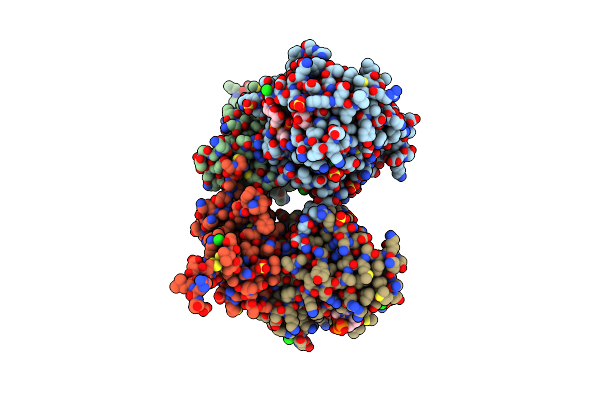 9P6P image