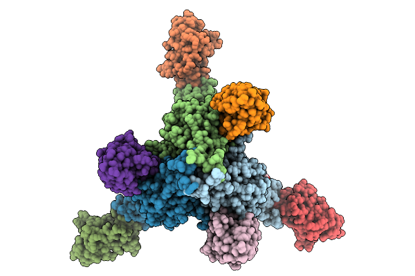 9P6X image