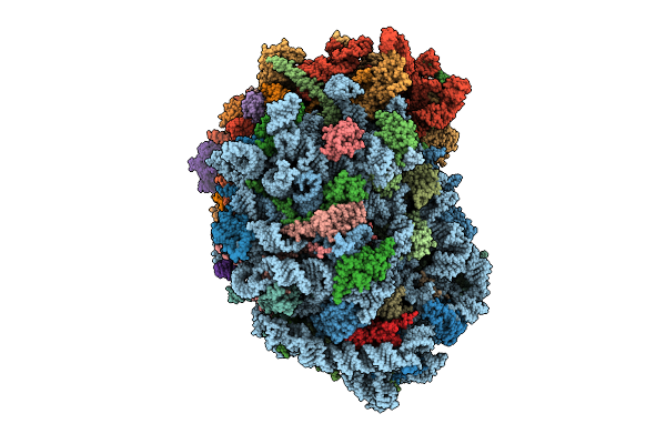 9P6Z image