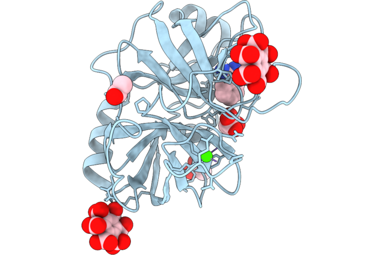 9P77 image