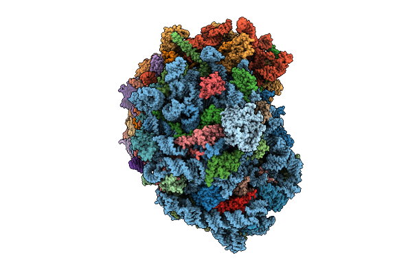 9P79 image