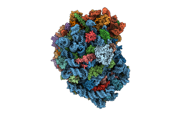 9P7A image