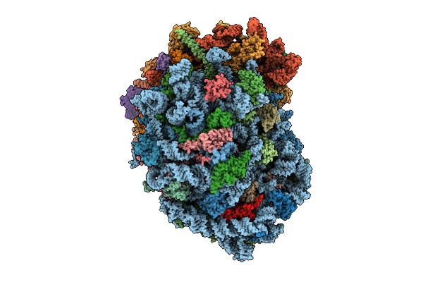 9P7F image