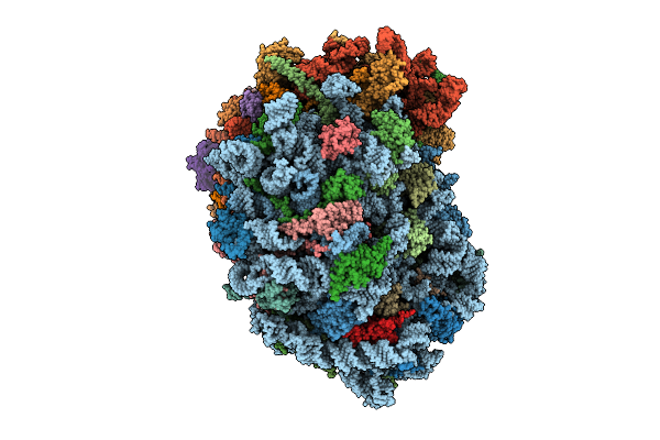 9P7J image