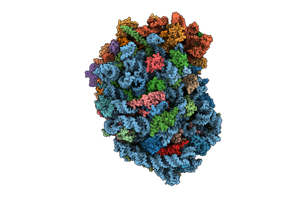 9P7K image