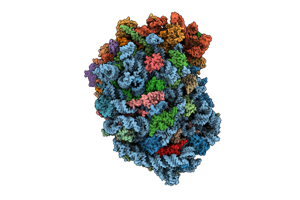 9P7L image
