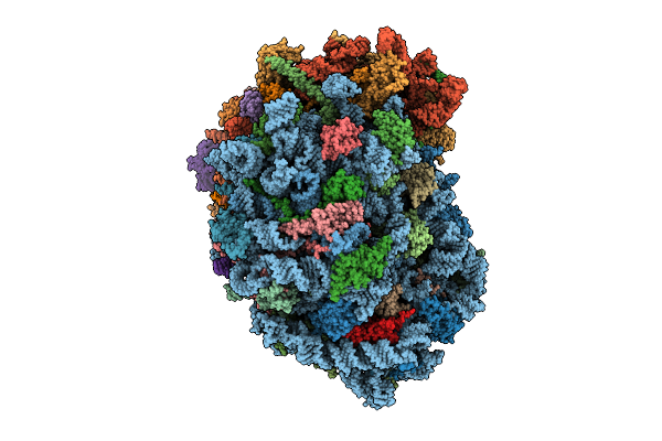 9P7N image