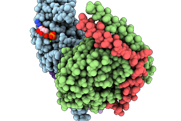 9P81 image