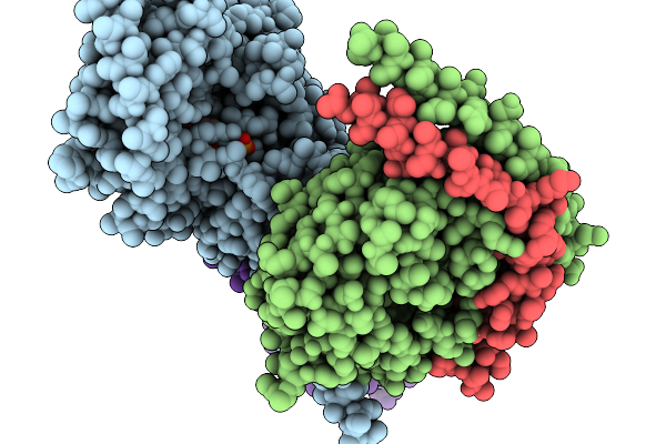 9P82 image