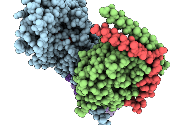 9P85 image