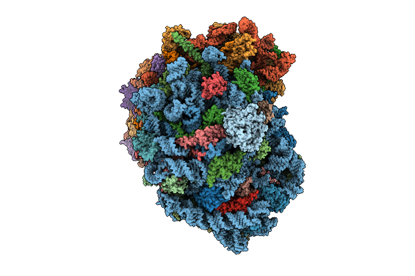 9P8C image