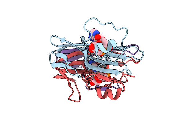 9P8L image