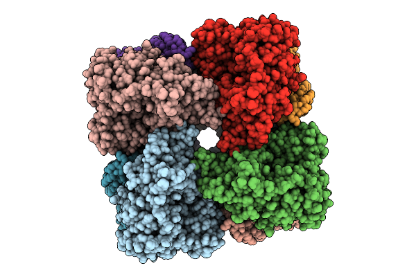9P8S image