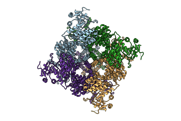 9P90 image